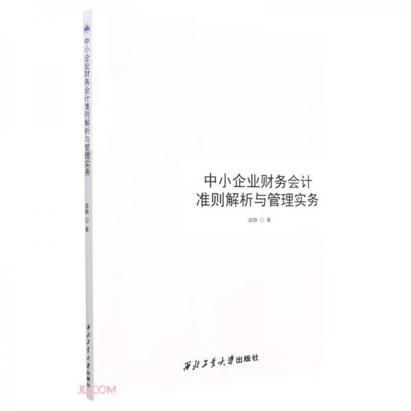 中小企业财务会计准则解析与管理实务