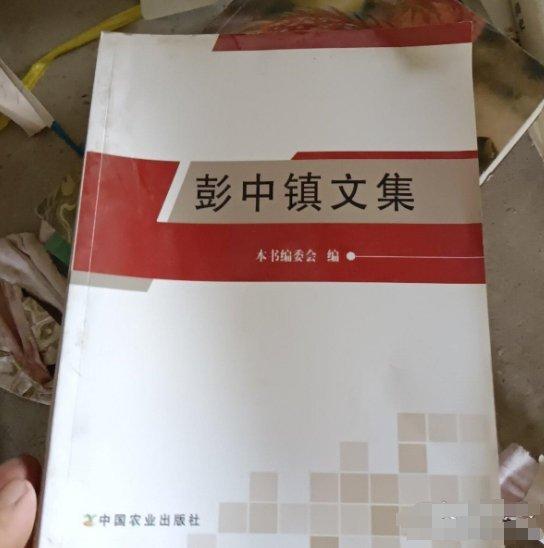 彭中鎮(zhèn)文集