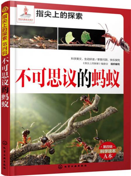 指尖上的探索：不可思议的蚂蚁