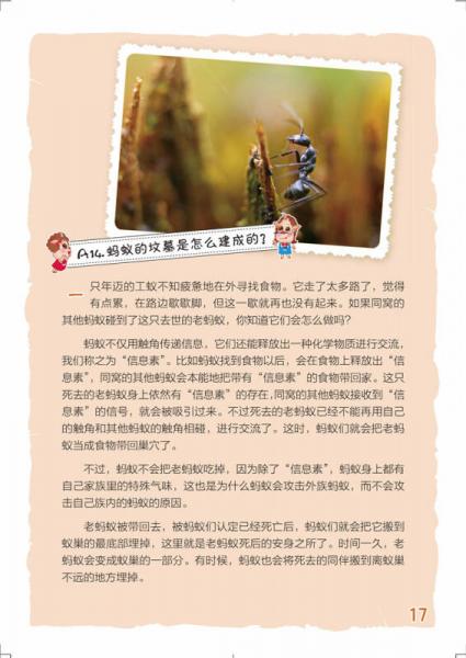 指尖上的探索：不可思议的蚂蚁