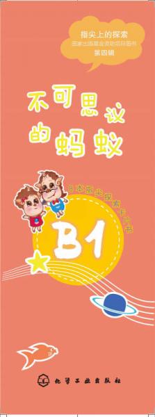 指尖上的探索：不可思议的蚂蚁