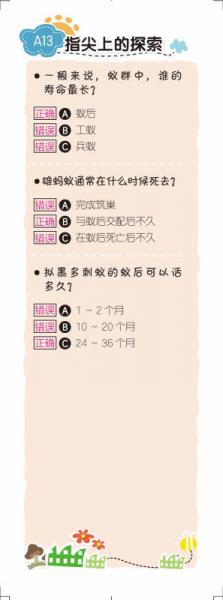 指尖上的探索：不可思议的蚂蚁