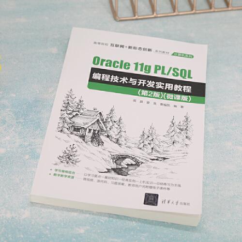 Oracle 11g PL/SQL编程技术与开发实用教程