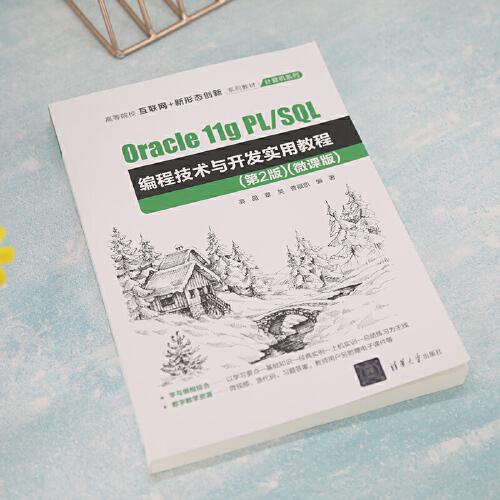 Oracle 11g PL/SQL编程技术与开发实用教程