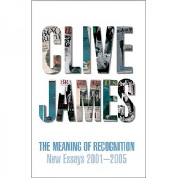 The Meaning of Recognition New Essays 2001-2005