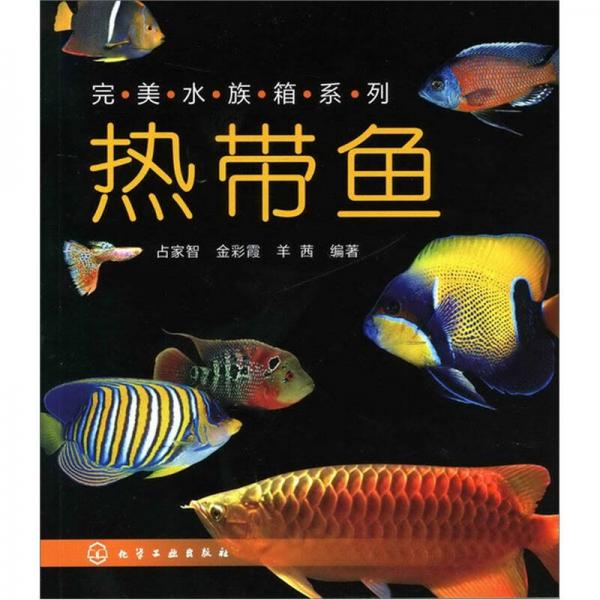 完美水族箱系列：热带鱼