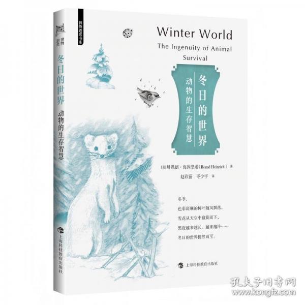 冬日的世界：动物的生存智慧