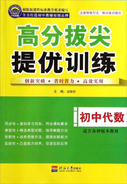 高分拔尖提优训练：初中代数