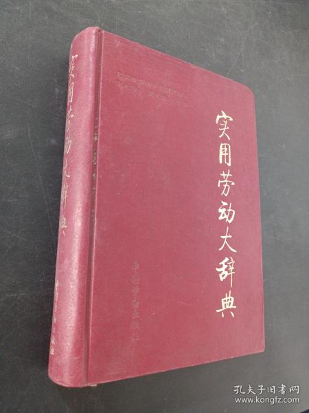 实用劳动大辞典