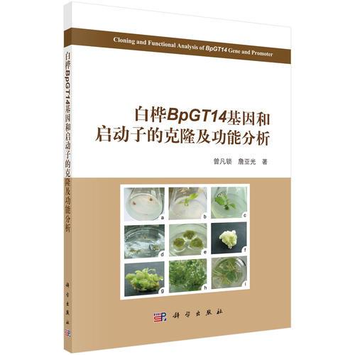 白桦BpGT14基因在细胞壁发育和抗逆境胁迫中的功能