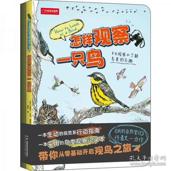 怎樣觀察一只鳥（擁抱自然，享受認(rèn)識和觀察鳥類的樂趣）