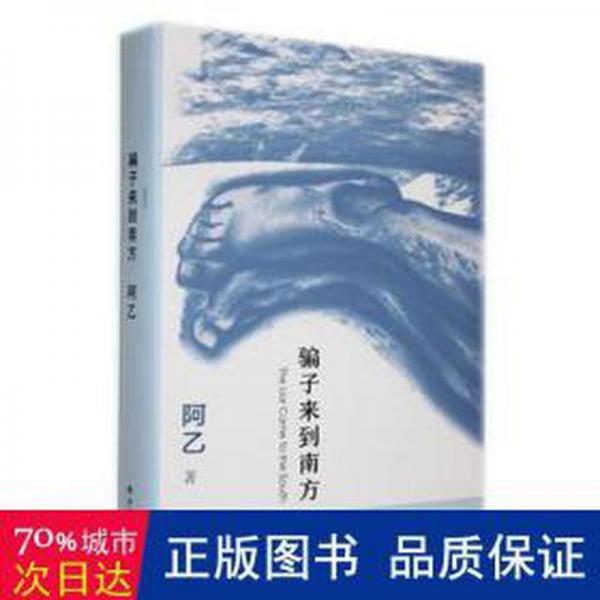來到南方 中國文學(xué)名著讀物 阿乙著 新華正版