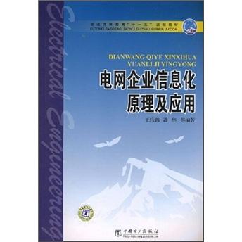 電網(wǎng)企業(yè)信息化原理及應(yīng)用