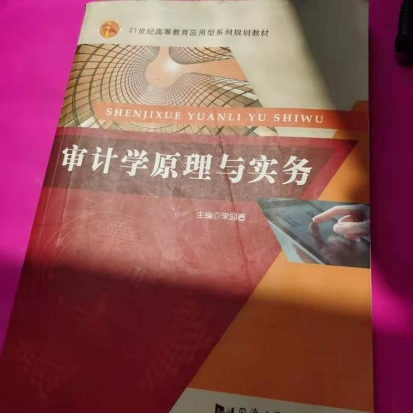 審計(jì)學(xué)原理與實(shí)務(wù)