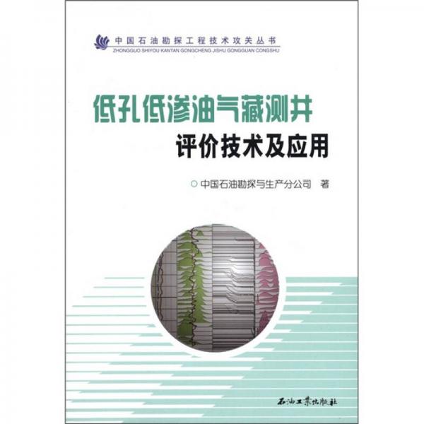 中国石油勘探工程技术攻关丛书：低孔低渗油气藏测井评价技术及应用