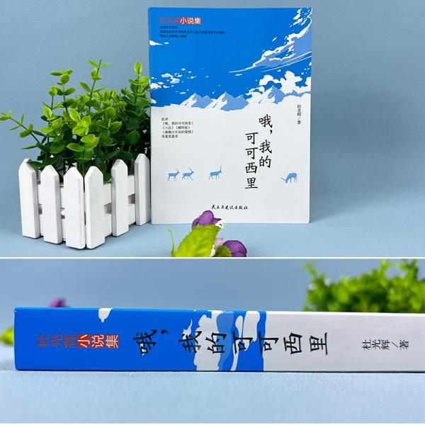 哦,我的可可西里
