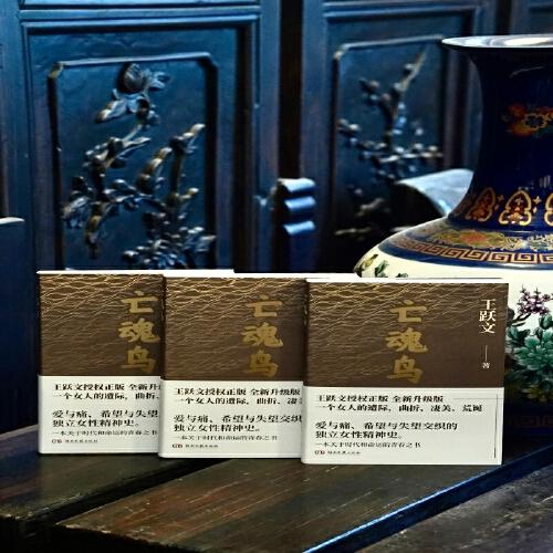 亡魂鸟（爱与痛、希望与失望交织的独立女性精神史）