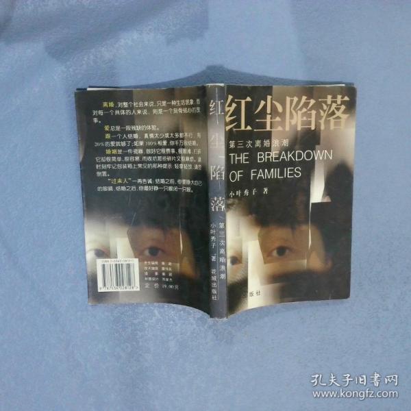 紅塵陷落:第三次離婚浪潮