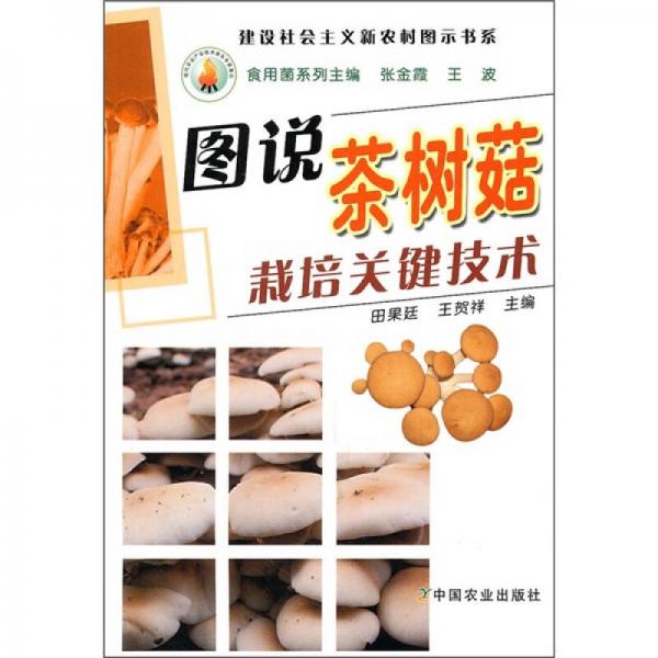 图说茶树菇栽培关键技术