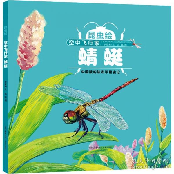 昆虫绘系列 空中飞行家——蜻蜓