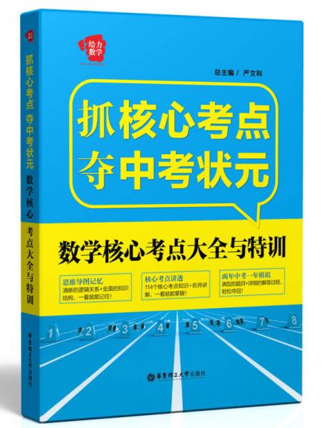 抓核心考点夺中考状元：数学核心考点大全与特训