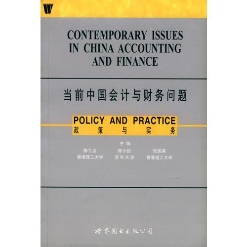 当前中国会计与财务问题 政策与实务
