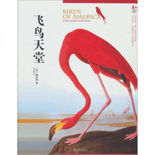 飛鳥天堂