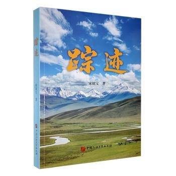 大學(xué)物理. 下冊(cè)