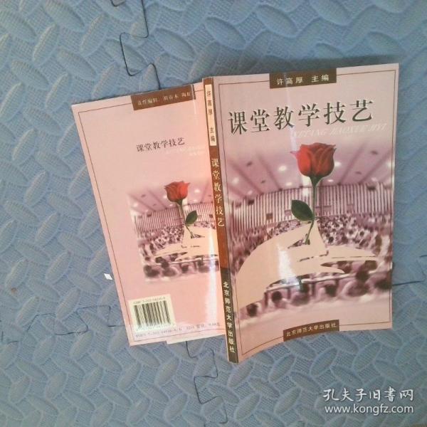 課堂教學(xué)技藝