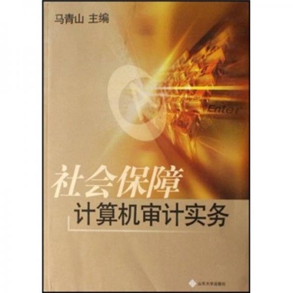 社會(huì)保障計(jì)算機(jī)審計(jì)實(shí)務(wù)