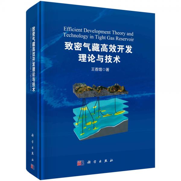 致密氣藏高效開發(fā)理論與技術