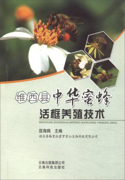 維西縣中華蜜蜂活框養(yǎng)殖技術(shù)