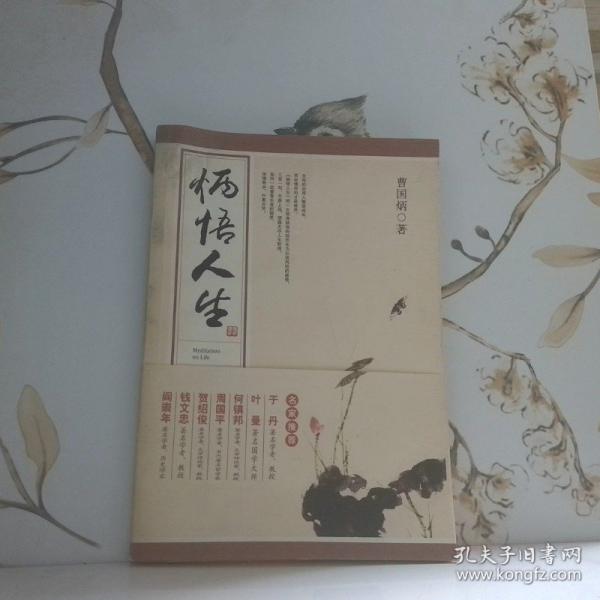 炳悟人生