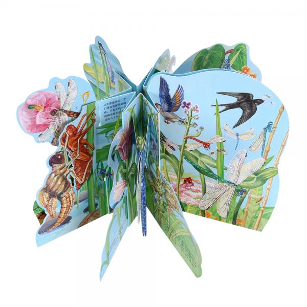 3D全景立体书：蜻蜓