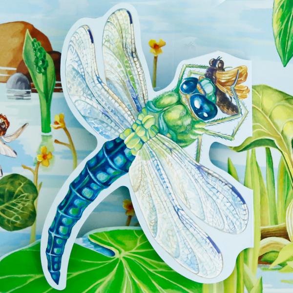3D全景立体书：蜻蜓