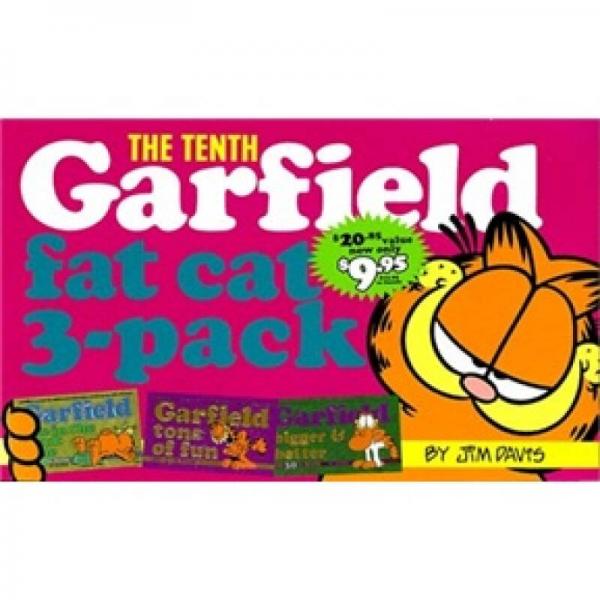 Garfield: Fat Cat 3-Pack: Vol 10 加菲猫10