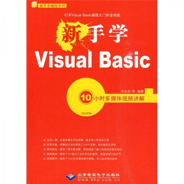 新手学Visual Basic