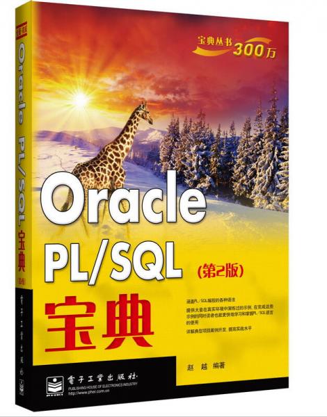 宝典丛书300万：Oracle PL/SQL宝典（第2版）