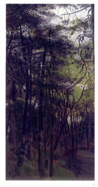 化象成境：李江峰作品集