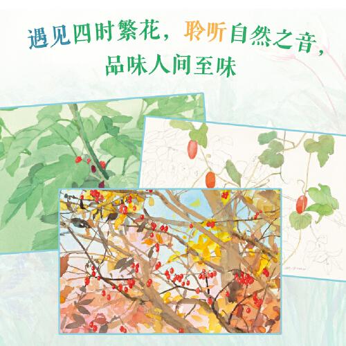 大师的自然课