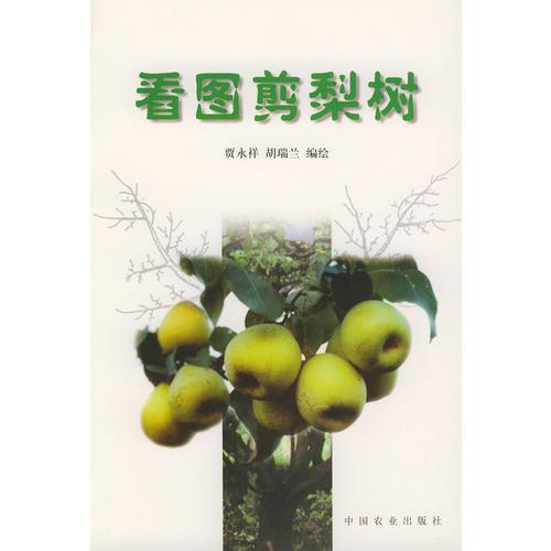 看圖剪梨樹