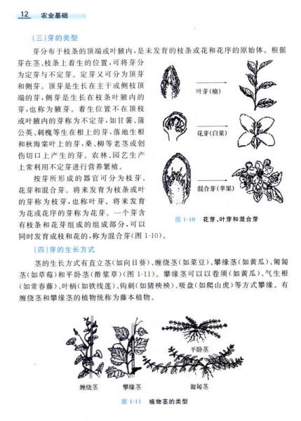 农业基础