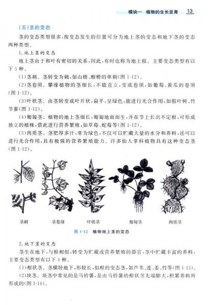 农业基础