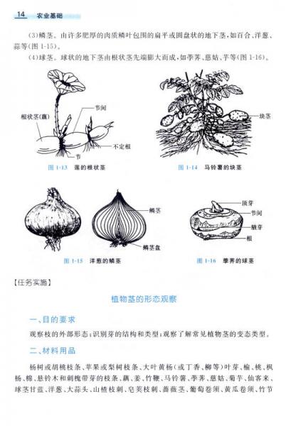 农业基础