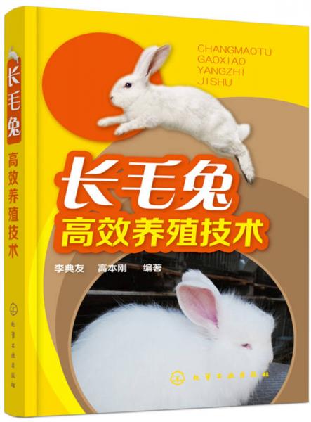 長毛兔高效養(yǎng)殖技術(shù)