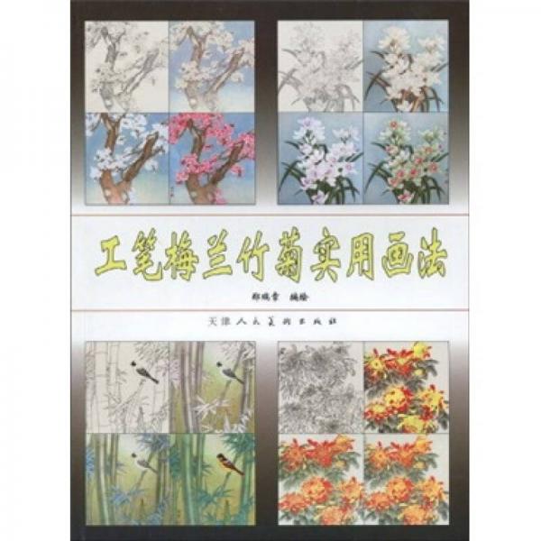 工筆梅蘭竹菊實(shí)用畫(huà)法