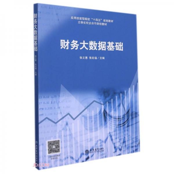 財(cái)務(wù)大數(shù)據(jù)基礎(chǔ)(立體化校企合作財(cái)經(jīng)教材應(yīng)用技能型院校十四五規(guī)劃教材)