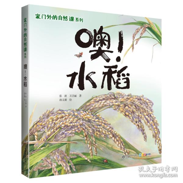 家门外的自然课系列——噢！水稻