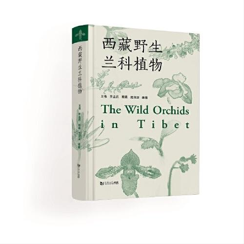 西藏野生蘭科植物