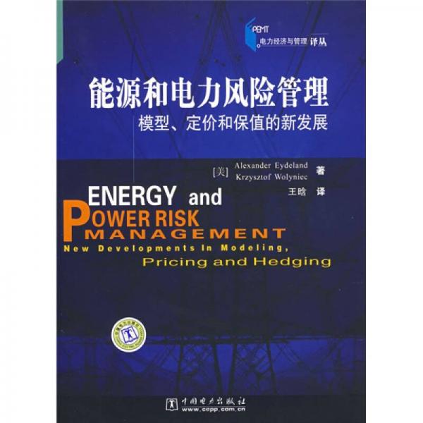 能源和电力风险管理：模型、定价和保值的新发展